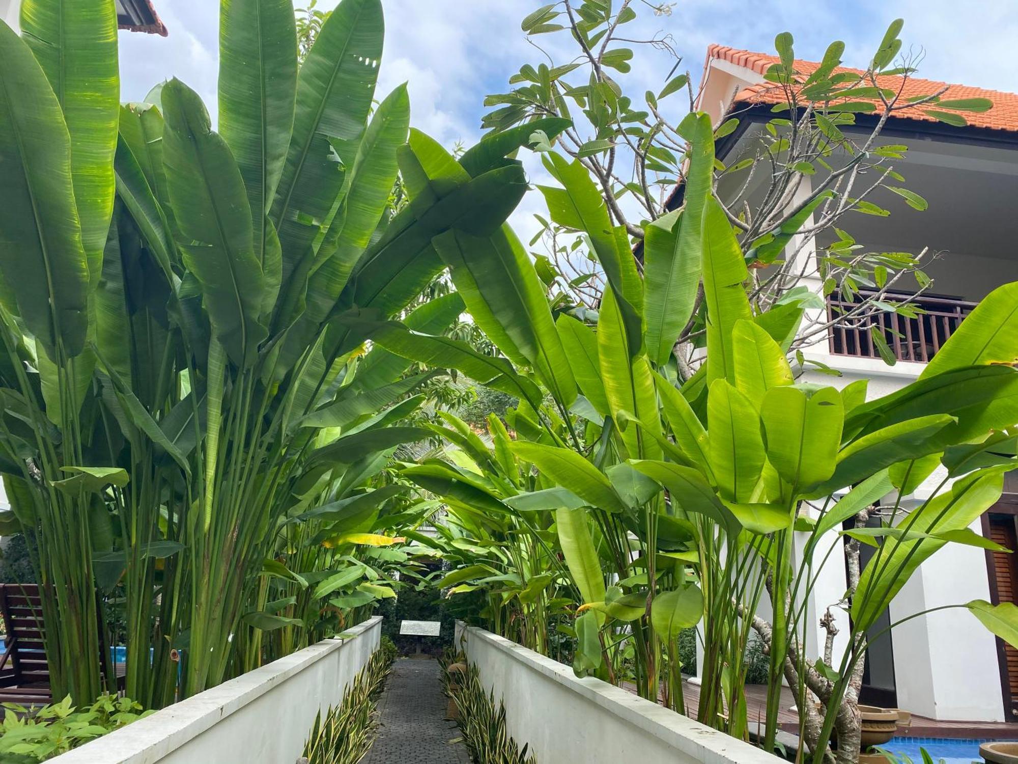 Tropical Pool Villas ดานัง ภายนอก รูปภาพ